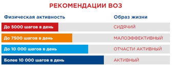 10000 шагов к жизни
